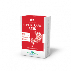 GSE REPAIR RAPID ACID 36C