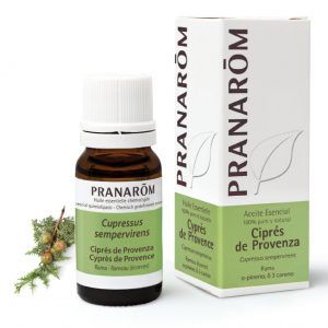 Aceite esencial de ciprés de Provenza conocido por sus propiedades beneficiosas en el sistema respiratorio