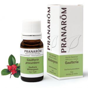 Aceite esencial de Gaulteria es altamente efectivo para disminuir el malestar en las articulaciones y relajar la tensión muscular. Sus propiedades analgésicas y antiinflamatorias ayudan a reducir el malestar y proporcionan un alivio inmediato.