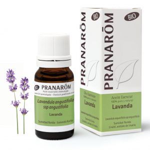 Aceite esencial de lavanda es conocido por sus múltiples beneficios. Sus propiedades relajantes ayudan a mejorar la calidad del sueño