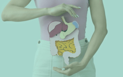 Blog Avellà Farmàcia en Oliva 4 Salud digestiva y piel: una conexión que no puedes ignorar